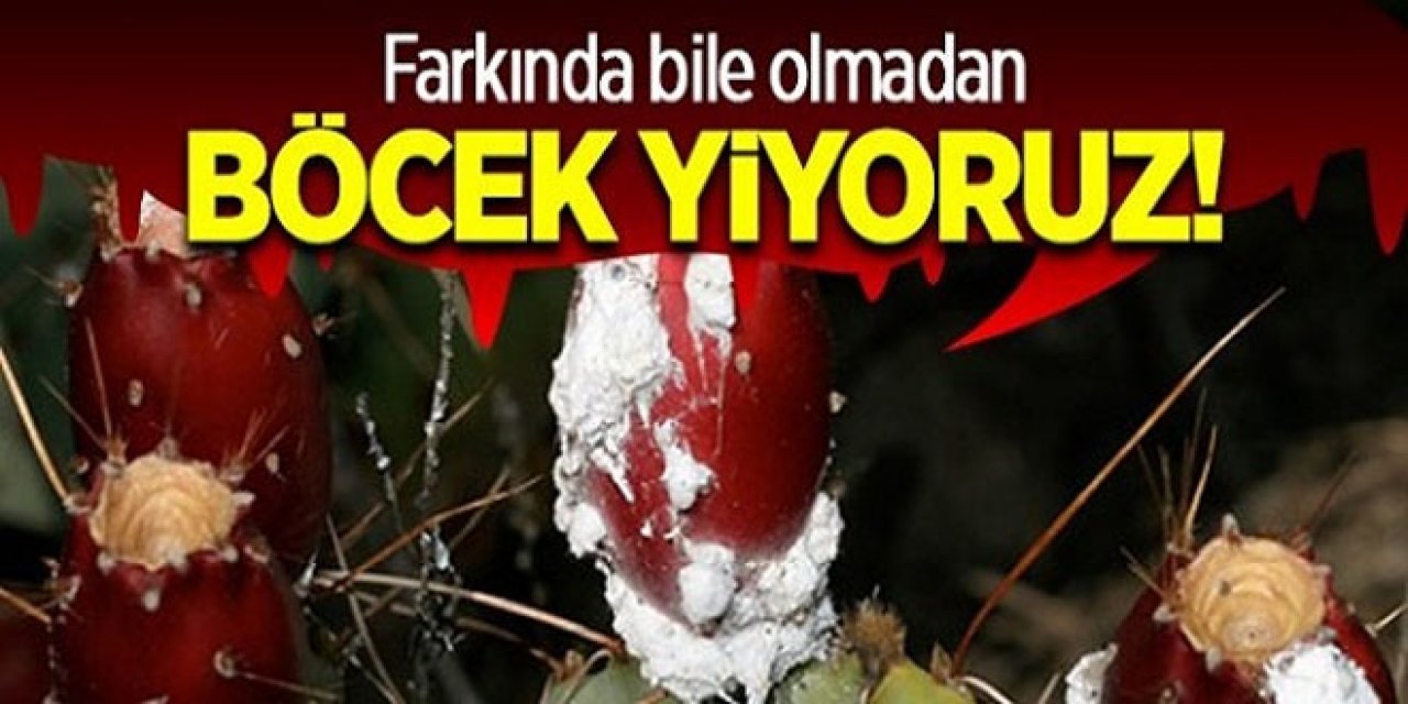 Farkında Olmadan Böcek yediriyorlar etiketlere bakın bu yazıyorsa almayın