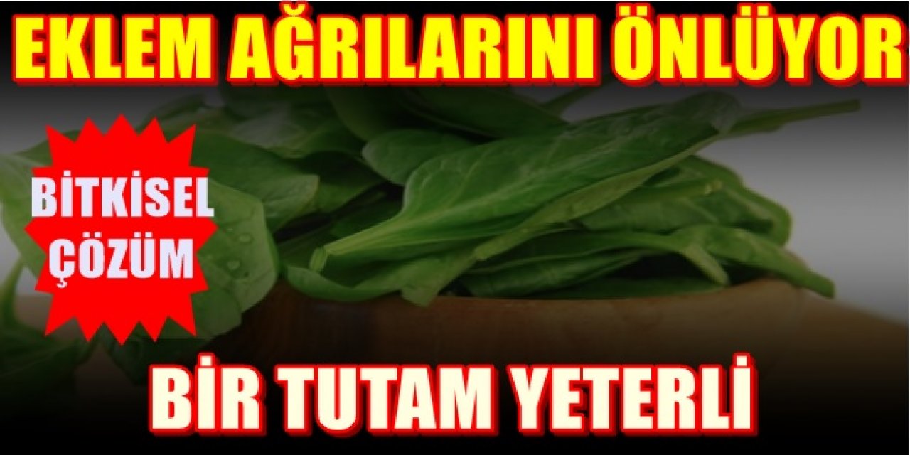 Eklem Ağrılarınızı İlaç Kullanmadan Gideren bitki - Bir tutamı etki ediyor