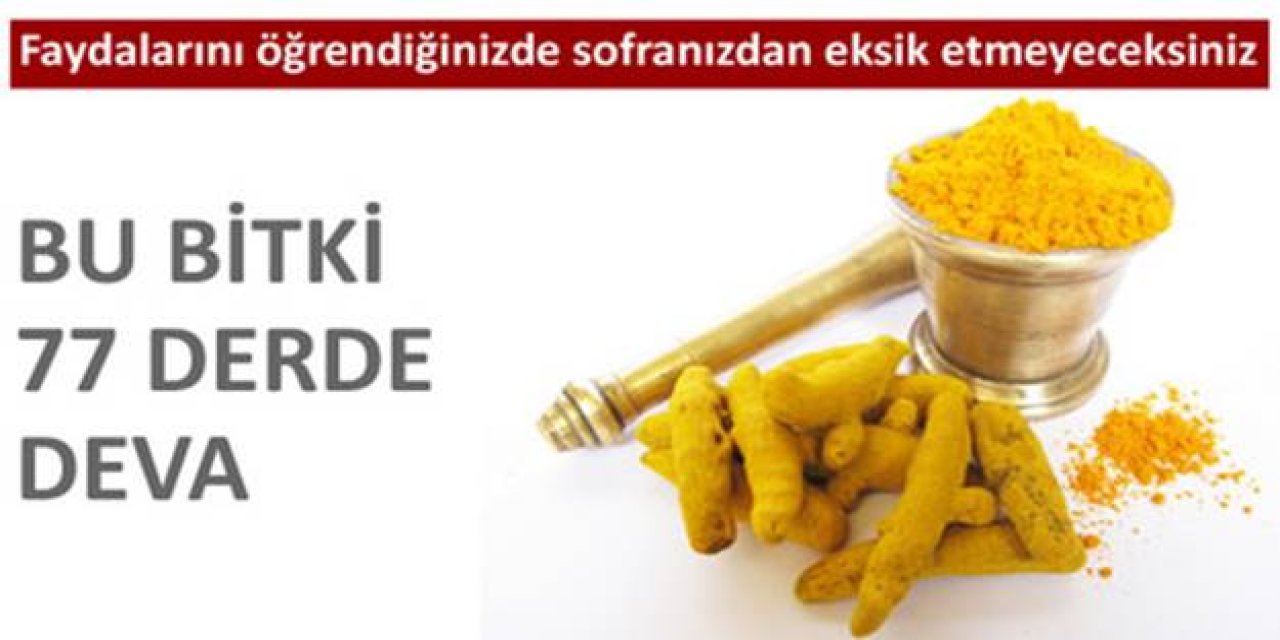 Bu bitkinin sadece 1 gramı korumaya yetiyor hücreleri yeniliyor gençleştiriyor