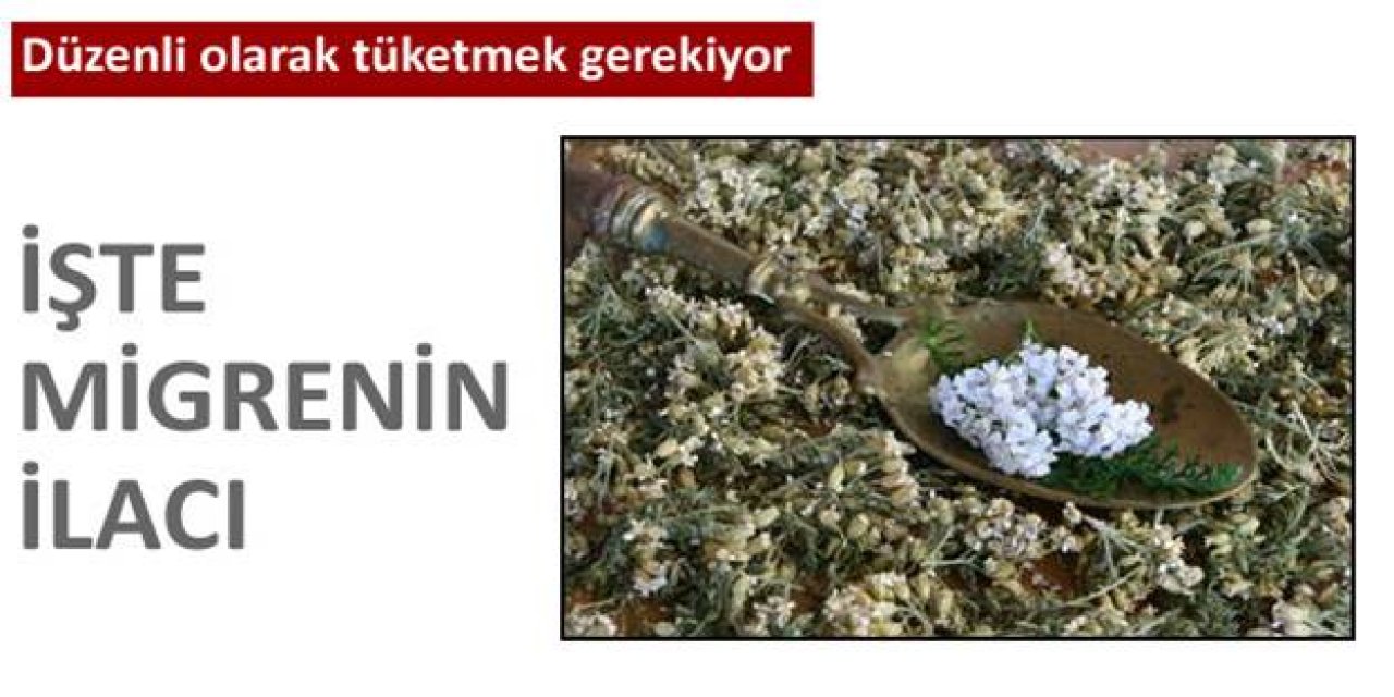 Migren ağrılarınızdan bir tutam tüketince kurtarıyor
