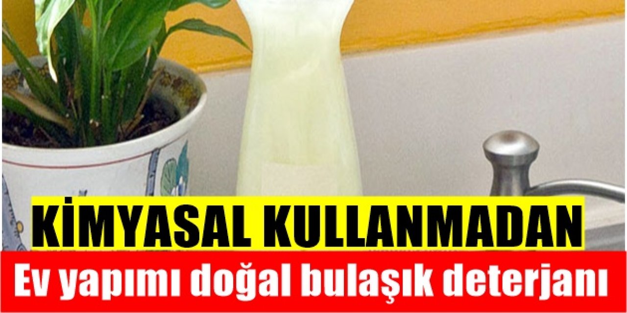 Evde Sizde bu tarifle kolaylıkla kendi bulaşık deterjanınızı yapabilirsiniz