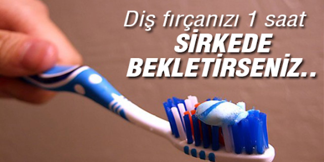 Diş Fırçanızla ilgili bilmeniz gereken müthiş bir bilgi! Mutlaka Yapın