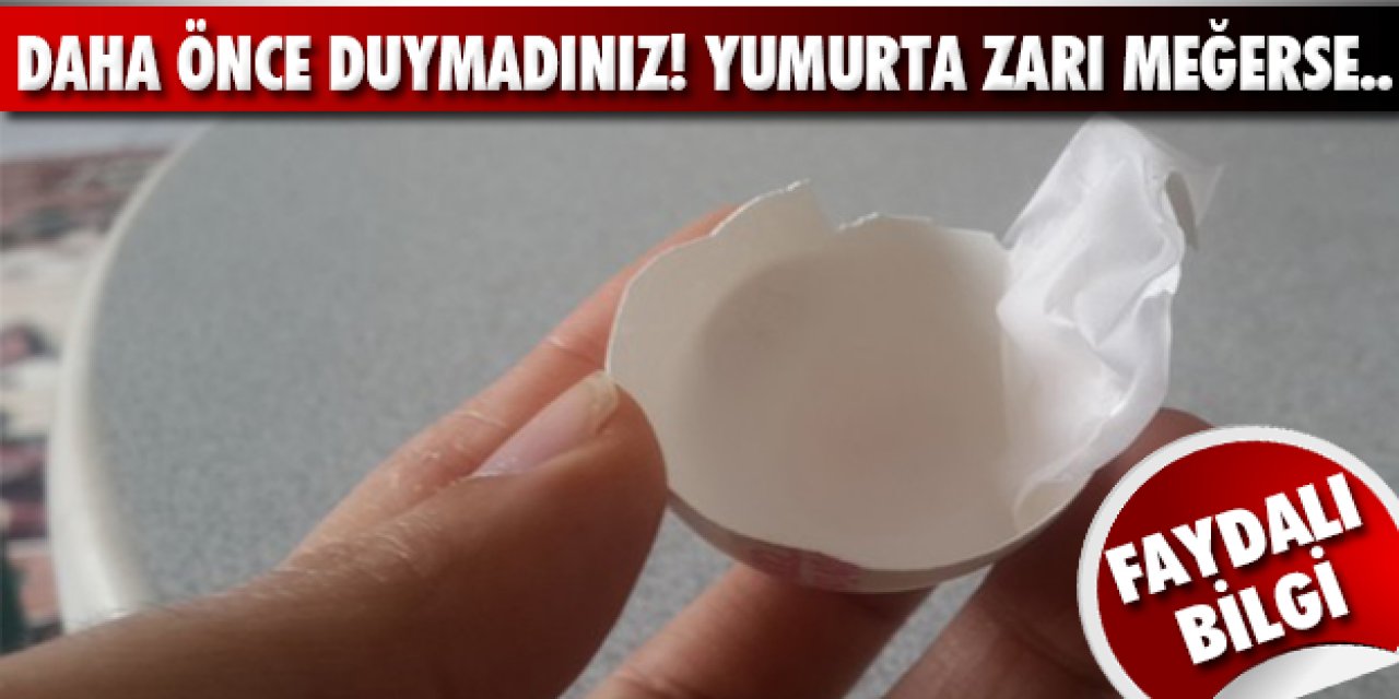 Yumurta zarının daha önce duymadığınız şaşırtıcı faydası