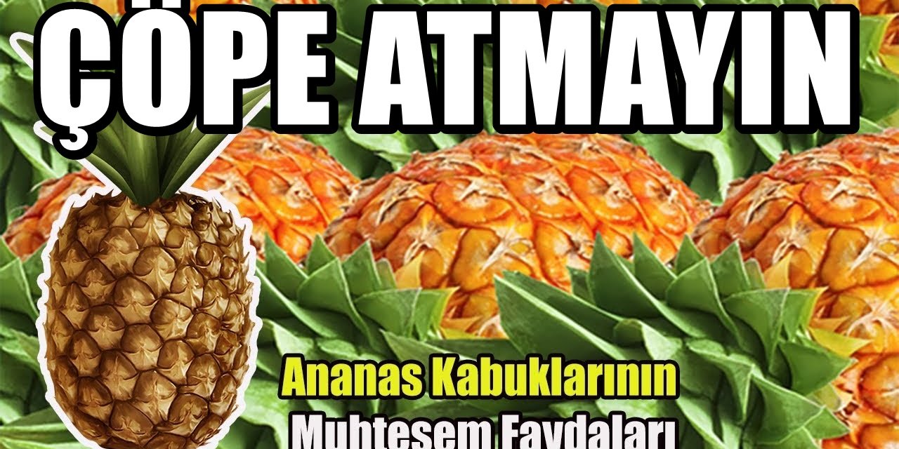 Ananasın Kabuklarını Sakın Çöpe Atmayın Bakın Ne işe yarıyor