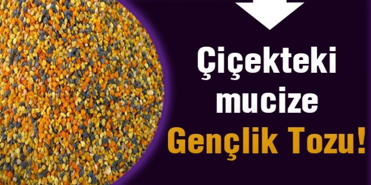 Çiçekte Yer alan gençlik Tozunu daha önce duydunuz mu! Şaşırtan sır