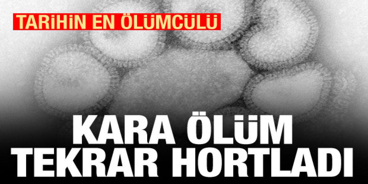 Koronavirüs derken yeni bir tehlike daha hortladı giderek hızla yayılıyor karantina sayısı artıyor