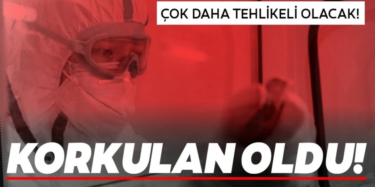 Koronavirüsün en çok etkilediği organ Akciğer sanıyorduk oysa en çok o organı vuruyor