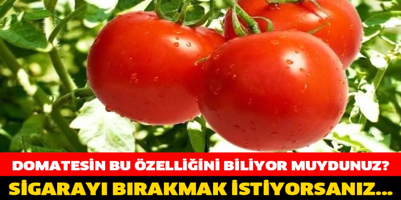 Domatesin daha önce hiç duymadığınız özelliği - Domatesle sigarayı bırakın