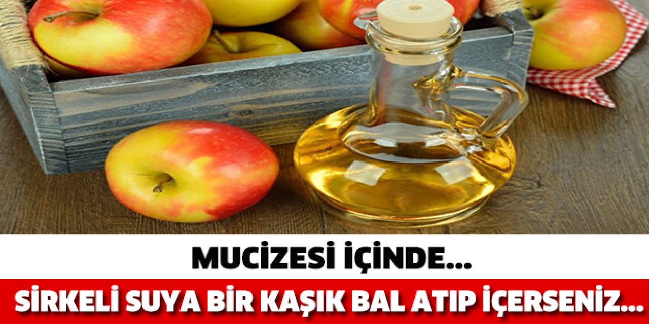 Sirkenin sağlığımıza faydaları nelerdir?