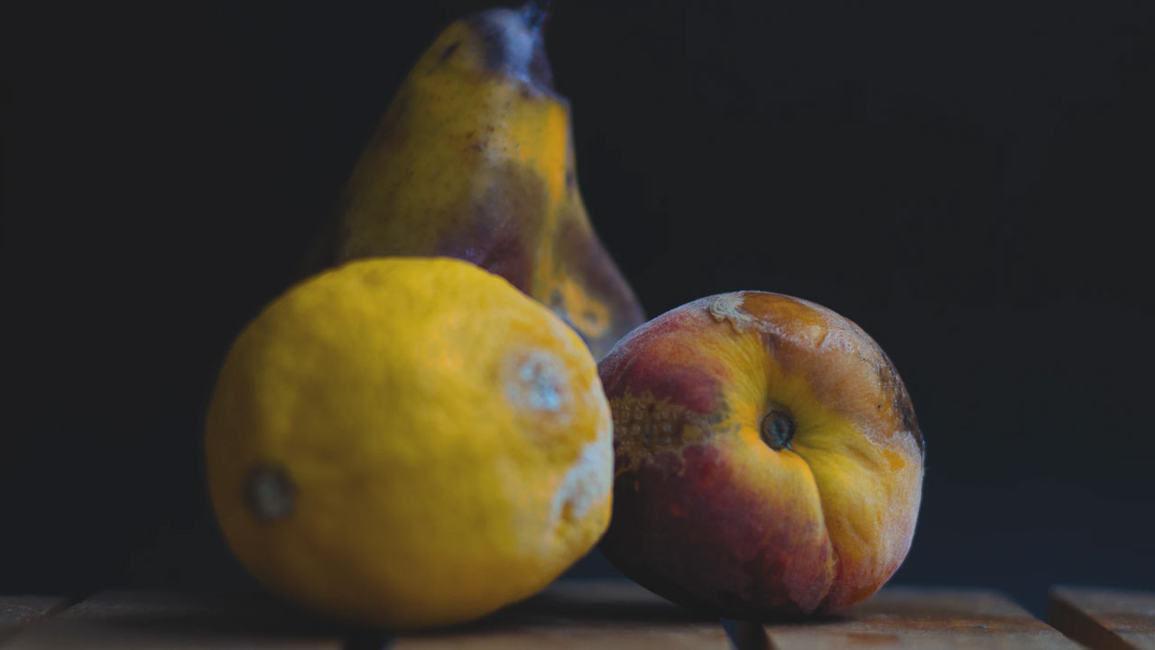 Küf nedir? Küflü yiyecekler ve çürük meyveler zararlı mıdır? İyi ve kötü küfler nelerdir?