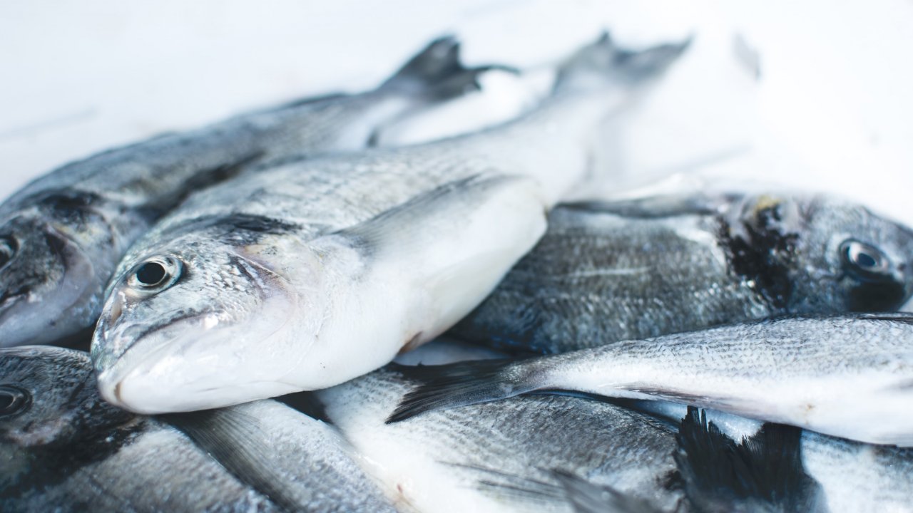 Taze balık nasıl anlaşılır, İşte 5 adımda kolayca taze balık seçmeniz için ipuçları