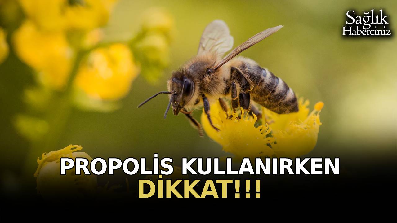Arılardan gelen mucize: Propolis nedir, faydaları nelerdir, nasıl kullanılır?