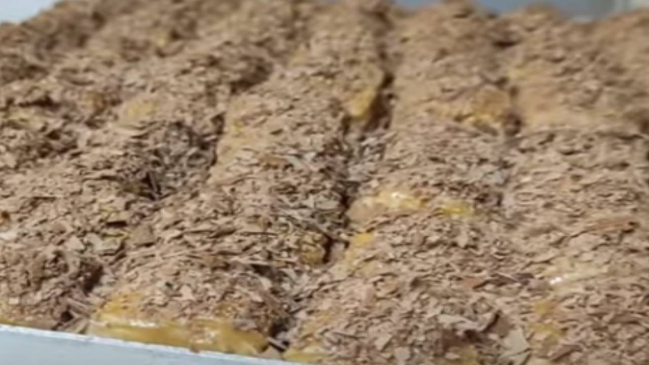 Güllacı Solladı! Yılın Popüler Tatlısı Pastanelerde Yok Satan Kolay Soğuk Baklava Tarifi