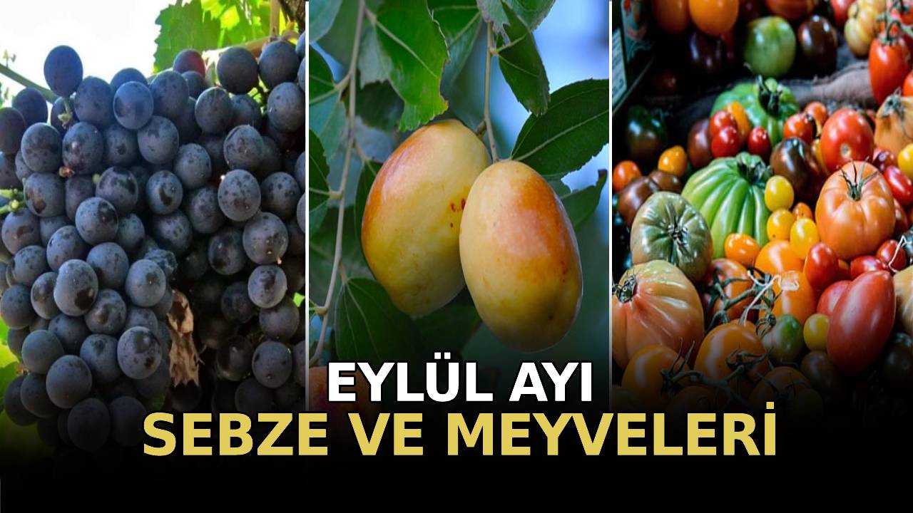 Eylül Ayında Hangi Sebze ve Meyveler Tüketilmeli