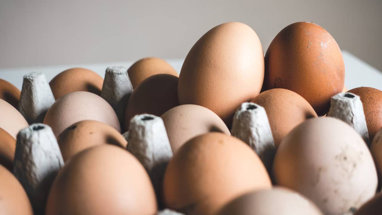 Yumurta Kabuğu Tozunun Faydaları Şaşırtıyor! Evde Hazırlamak İse Çok Kolay
