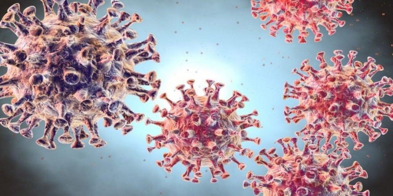 Koronavirüsle ilgili tartışma yaratan iddia! Gaz çıkarmakla bulaşabilir