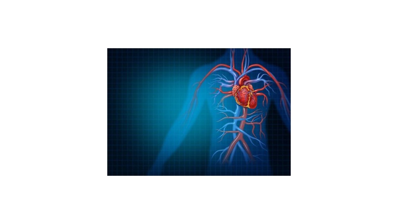 Uzmanı kalp hastalıklarında risk faktörlerini açıkladı