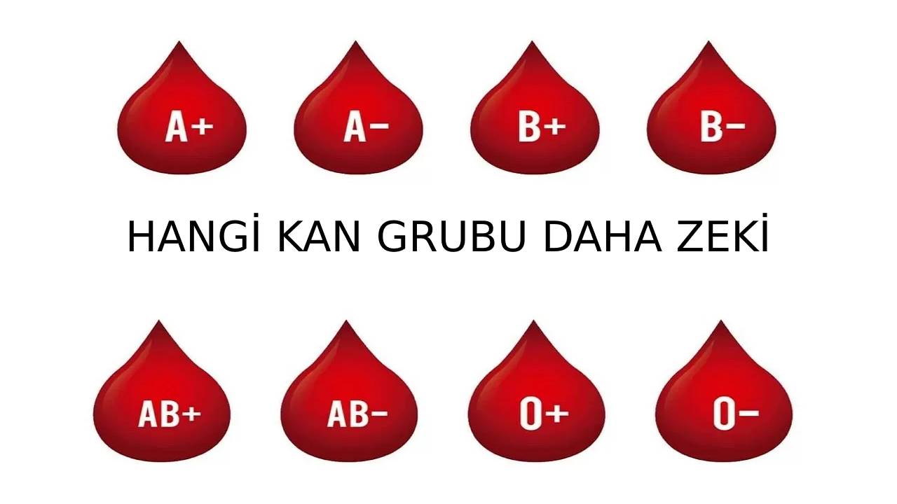 Japon bilim adamı açıkladı: İşte en zeki kan grubu