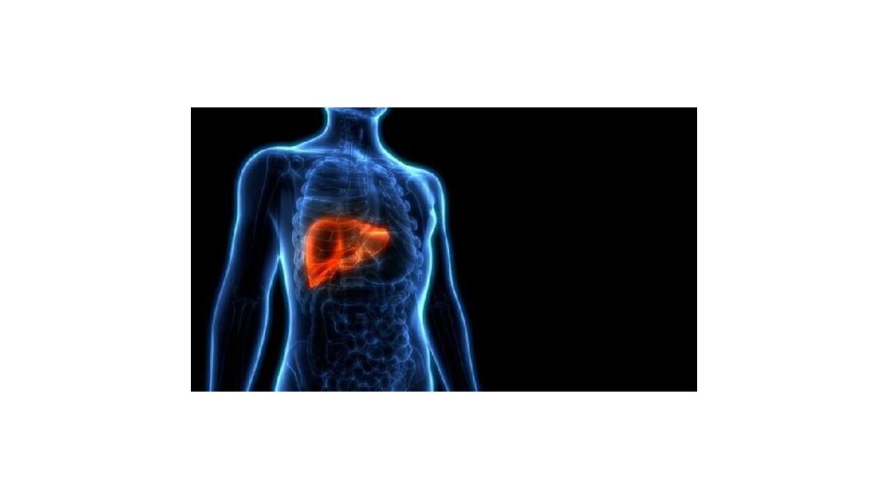 “Bilinçsiz yapılan diyetler karaciğeri yağlandırıyor”