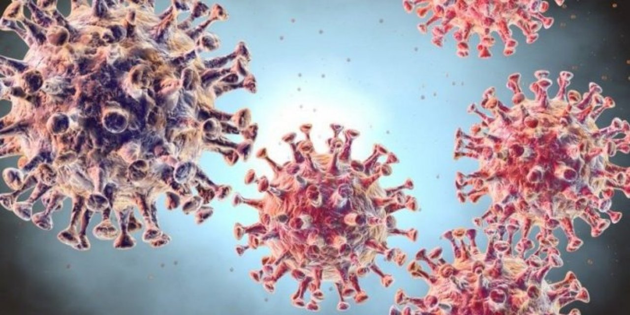 Uzmanlar Uyarıyor - Koronavirüs kaynaklı yeni bir hastalık riski çıktı