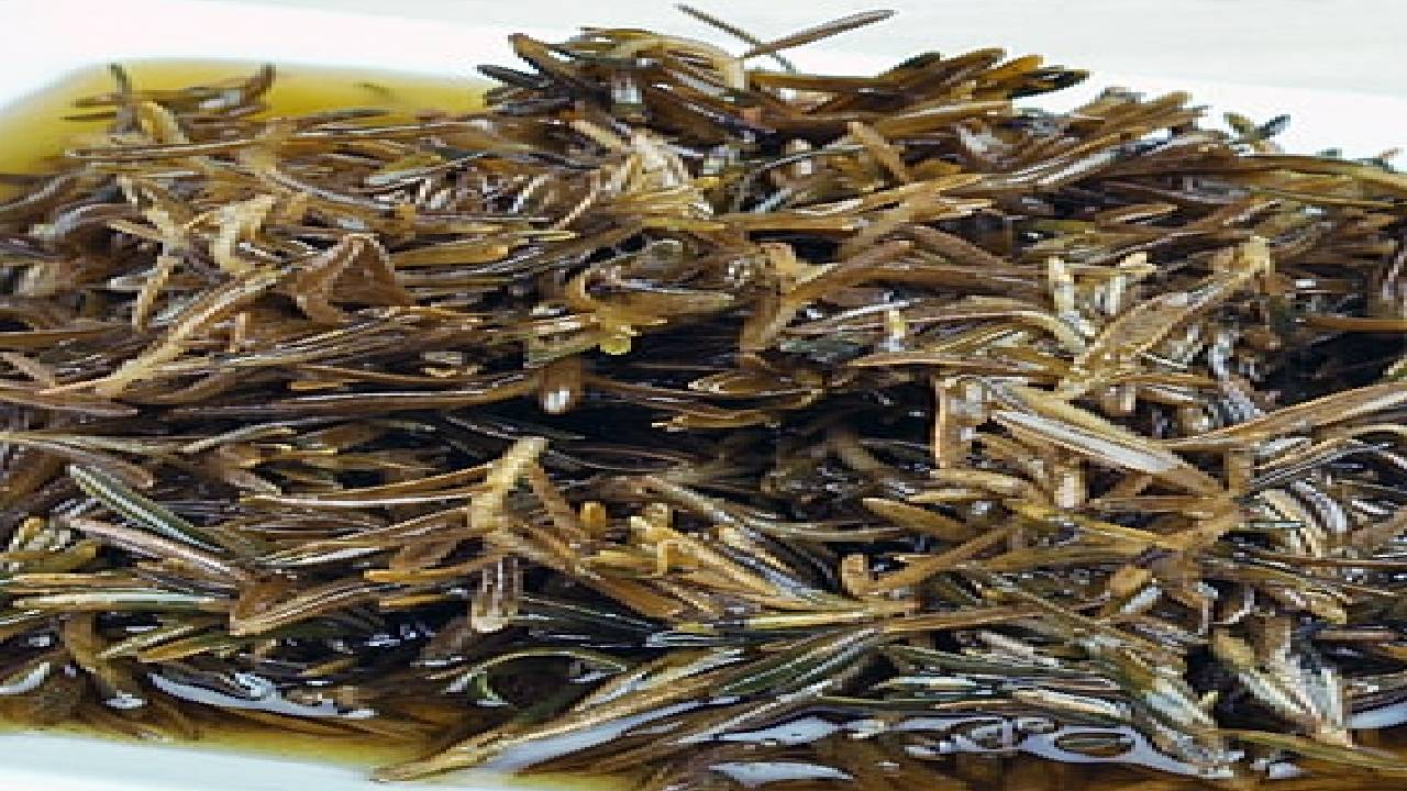zahter-salamura.jpg