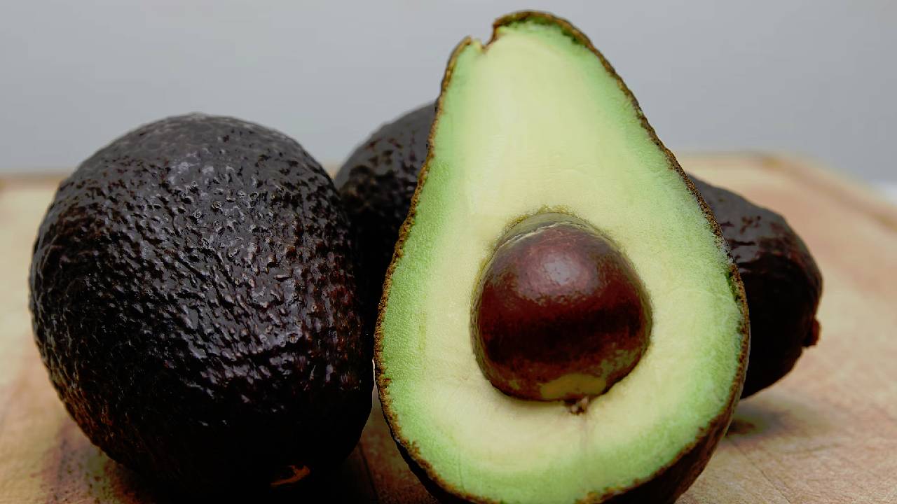 avokado.jpg