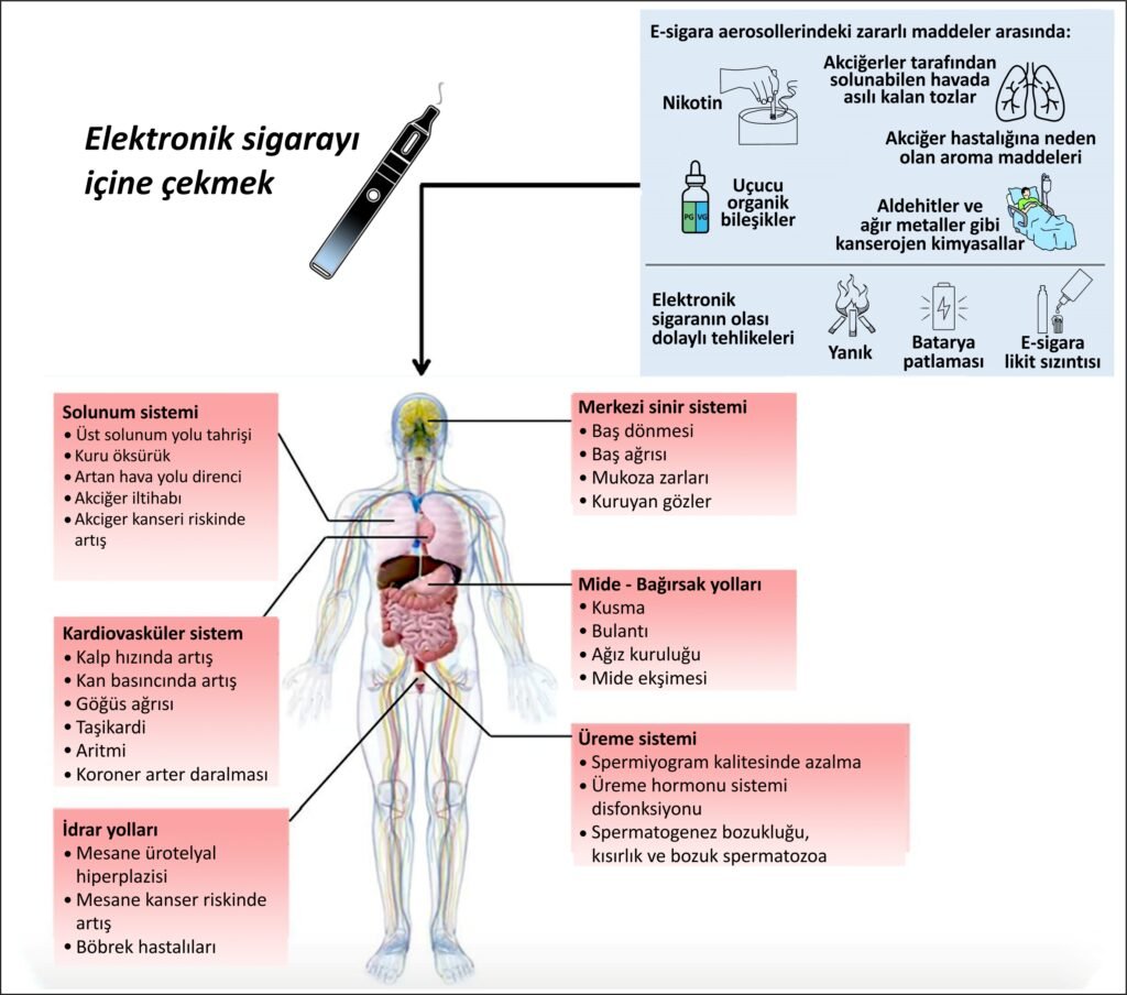 Elektronik sigarada ölümcül hastalıklara neden oluyor